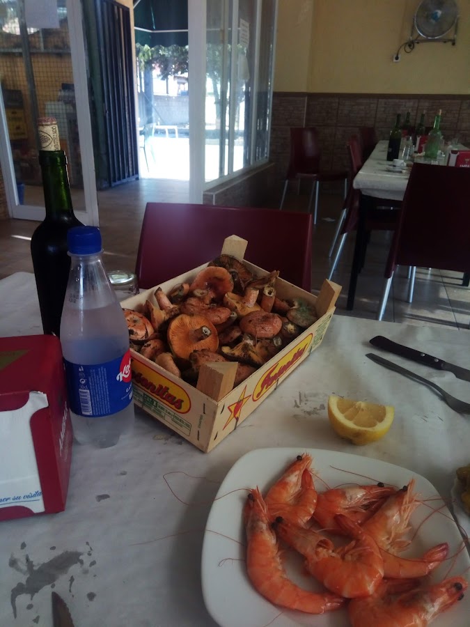 Bar Piscina Rafelguaraf