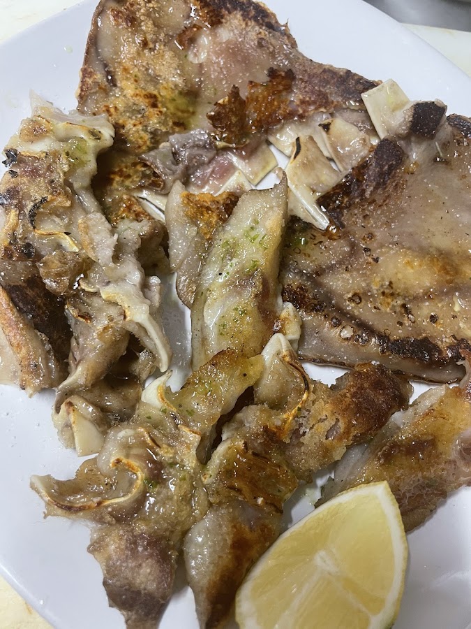 Bar Pito